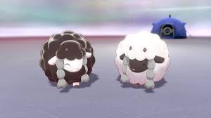 ウール 色 違い