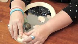 Here's how to turn your shell into a fun and functional horn. Solved How To Clean A Conch Shell How Co