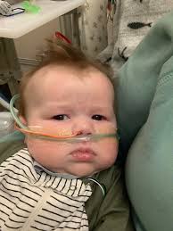 Baby bird growth at 32 days old