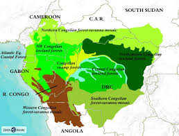 Congo river map, location, depth, animals, quick facts. Congo Basin Ecoregions Global Forest Atlas