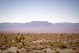 Earn free nights, get our price guarantee & make booking easier with hotels.com! Road Trip En Californie Visite De La Death Valley En 2 Jours