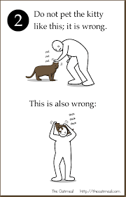 How To Pet A Kitty The Oatmeal