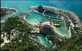 Xcaret park near cozumel in mexico. Awesome Park Review Of Delphinus Xcaret Playa Del Carmen Mexico Tripadvisor