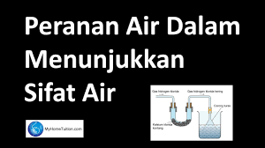 Kalsium di dalam serum berada dalam. Peranan Air Dalam Asid Dan Bes Kimia Spm
