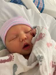 Taylor Holmberg (@TaylorHolmberg)