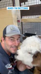 What happens when Pandarosa puts