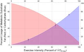 Distance running uses aerobic energy. Relative Use Of Fat And Carbohydrate As Metabolic Fuels Depends On Download Scientific Diagram