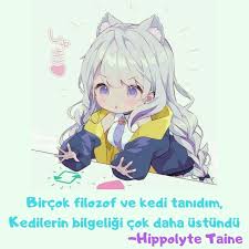 Deniz Izumaru Adli Kullanicinin Hayvanlar Panosundaki Pin 2020 Goruntuler Ile Hayvanlar Kedi