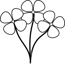 Line Art Flower Google Search Line Art Flowers Flower Clipart White Flower Clip
