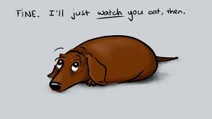 Pharold S Deviantart Favourites Dachshund Love Weenie Dogs Dog Love