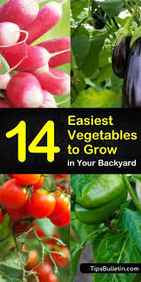 If you would like to have a variety of fresh herbs, then … 14 Easiest Vegetables To Grow In Your Backyard