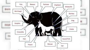 Check spelling or type a new query. Top 3 Menebak Jumlah Binatang Dalam Gambar Global Liputan6 Com