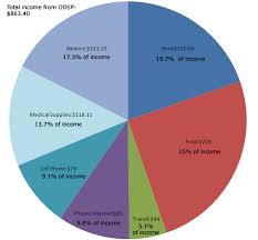 accessibility pie chart showing odsp income expenditures