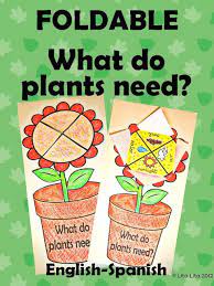 Foldable What Do Plants Need English Spanish 1 00 Kindergarten Science Homeschool Science Science Lessons