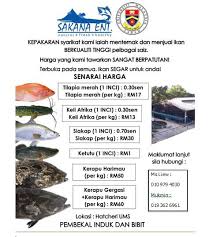 Semua kereta di atas dilengkapi dengan pelbagai ciri canggih untuk mengoptimumkan sistem keselamatan dan keselamatan penunggang. Sakana Enterprise Home Facebook