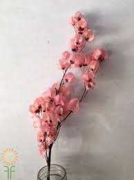 Dry flowers natural real rose pressed dried flowers real dried preserved flower bouquet mini pink rose. Pin On Dried Flowers