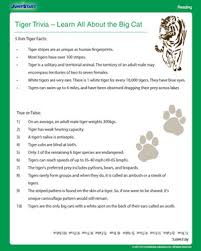 Who said we elves try to stick to the four main food groups: Tiger Trivia Free Science Worksheet For 4th Grade Jumpstart