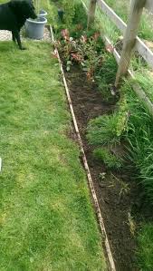 We did not find results for: Garden Border With Pallets Wood Amazing Gardens Garden Edging Wooden Garden