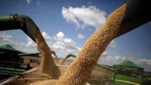 Us Soybeans Futures Price Investing Com India