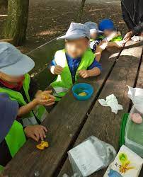 pin auf waldkinderkrippe