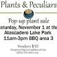 Plants and Peculiars Pop-Up event image