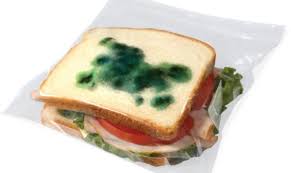 Cele mai tari păcăleli de 1 aprilie din istorie: 10 Idei De Pacaleli Pentru Copii De 1 Aprilie Blog In Tandem