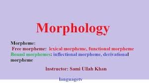 We did not find results for: Morpheme And Its Types Free And Bound Morpheme Inflectional And Derivational Morpheme Sami Youtube