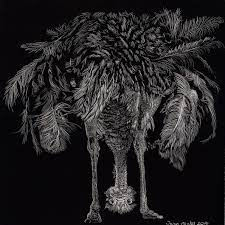 What Ostrich Scratchboard Scratchboard Scratchboard Art Art Competitions