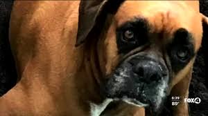 Tune in to louder with crowder at 10am(ish) est on youtube and the blaze for a #davestyle takeover. Woyawxyq Lltvm