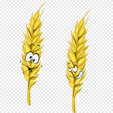 Ты поймешь, что твоя роза — единственная в мире. Kolosya Pshenicy Kolosya Pshenicy Multiplikacionnyj Personazh Eda Png Pngegg