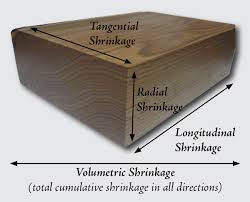 dimensional shrinkage the wood database