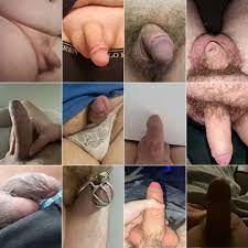Twitter small penis humiliation - Best adult videos and photos