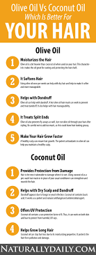 One of your best diy bets? Olive Oil Vs Coconut Oil Which Is Better For Your Hair Olive Oil Or Coconut Oil Which One I Olive Oil Hair Olive Oil Hair Treatment Olive Oil Uses For Hair