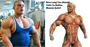 How long does it take to become mr.olympia? How Many Sets And Reps You Should Do To Gain Muscle Mass By Bodybuilding Ysf On March 12 2020 In Bodybuilding Tips Work Workout Results Gain Muscle Muscle