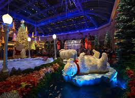 Enjoy views from our majestic veranda facing the mississippi sound as well as our luxurious pool and hot tub. 36 076 Christmas Decoration Garden Photos Free Royalty Free Stock Photos From Dreamstime