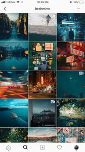 Collection by rim~ • last updated 2 weeks ago. 4 Vsco Editing Tips To Help You Stand Out On Instagram Shark Palm