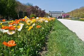 Jardin Des Plantes Paris Paris Garden Paris Garden