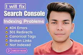 Fix 404 errors, broken links, 301 redirects, indexing issues by Farhanisrk 
