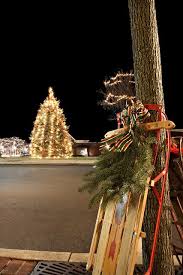 Perkasie Christmas Tree Christmas Tree Christmas Tree Lighting Christmas