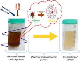 In the processing of fresh fruit bunches, palm oil mills produce palm oil mill effluent, empty fruit bunches, and finally, a mixture of kernel, fibers and oils. Frontiers Decolorization Of Palm Oil Mill Effluent By Klebsiella Pneumonia Abz11 Remediation Efficacy And Statistical Optimization Of Treatment Conditions Microbiology