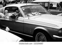 Image result for Green 1968 Fleet