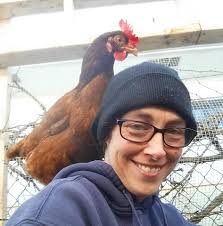 Rebecca's Rhode Island Reds