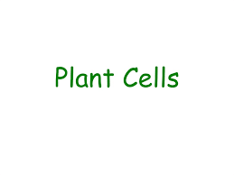 We did not find results for: Plant Cells Overview Of Plant Structure Online Presentation