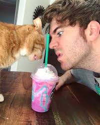 Shane Dawson Shanedawson Twitter Shane Dawson Shane Dawson And Ryland Shane Dawson Memes
