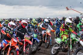 Image result for tbn:-PhpzClRMtqLvM::upload.wikimedia.org/wikipedia/en/thumb/2/2e/Torino_FC_Logo.svg/496px-Torino_FC_Logo.svg.png