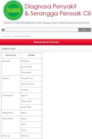 Pada mulanya aku memang ingat senang nak tanam cili. Aplikasi Mardi Doktor Cili Rujukan Penyakit Pokok Cili