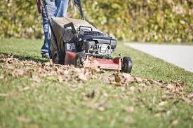 We did not find results for: The Best Mulching Lawn Mower For Your Garden Archute