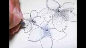 See more ideas about cross coloring page, cross patterns, stain glass cross. Flowers Time Lapse Crosshatch Stipple Copic Youtube