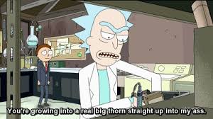 Birdman Rick And Morty Gif Https Encrypted Tbn0 Gstatic Com Images Q Tbn 3aand9gcqcli Xymmphwdt6fyp3oonad6morijqm T2q Usqp Cau