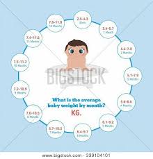 Average Baby Weight Vector Photo Free Trial Bigstock Html5 available for mobile devices. average baby weight vector photo